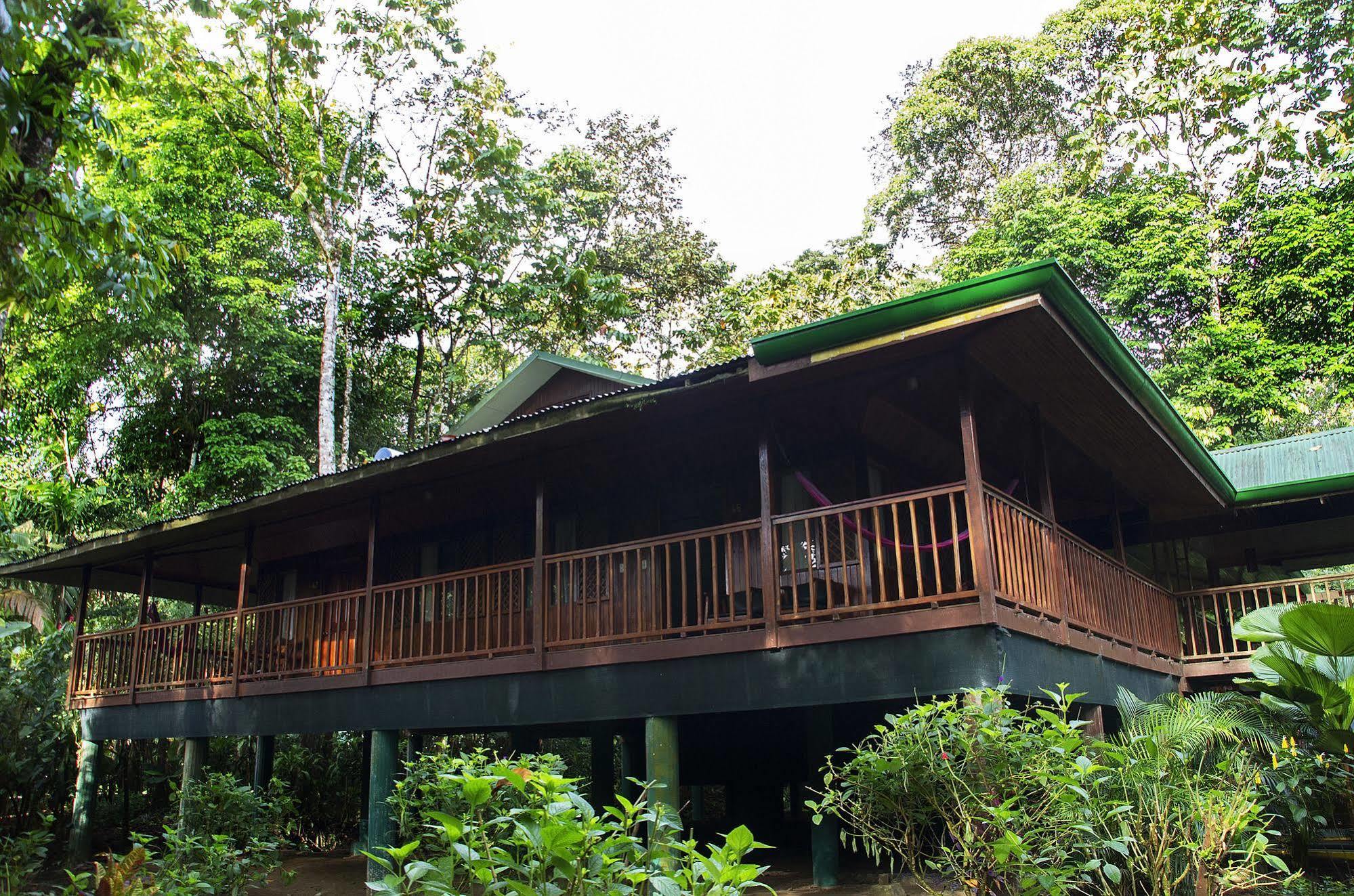 Selva Verde Lodge Puerto Viejo de Sarapiqui Exterior photo