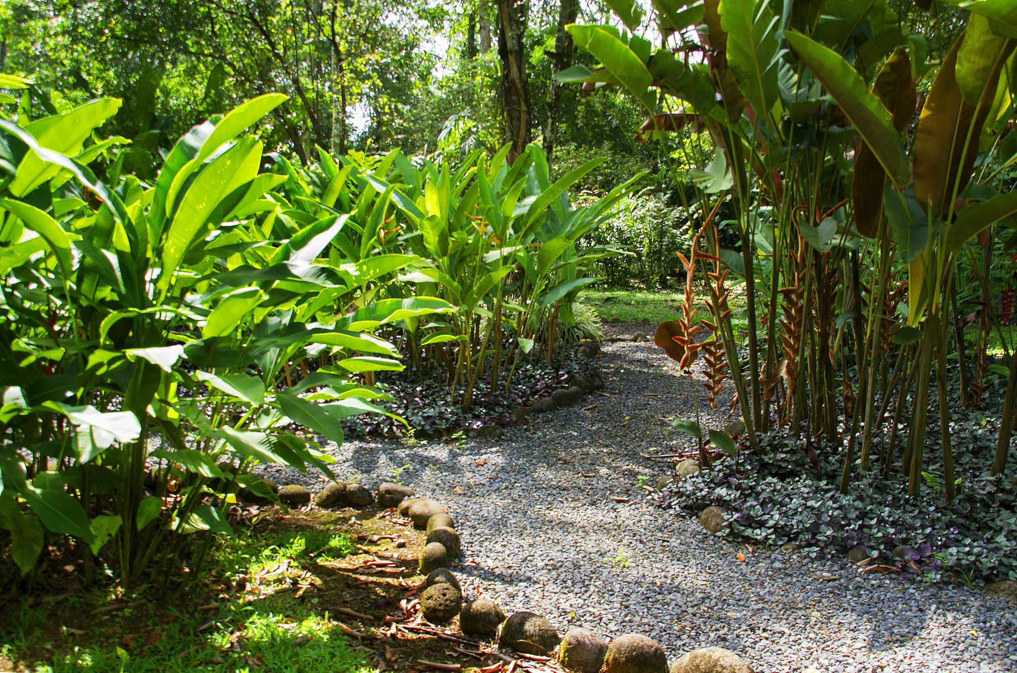 Selva Verde Lodge Puerto Viejo de Sarapiqui Exterior photo
